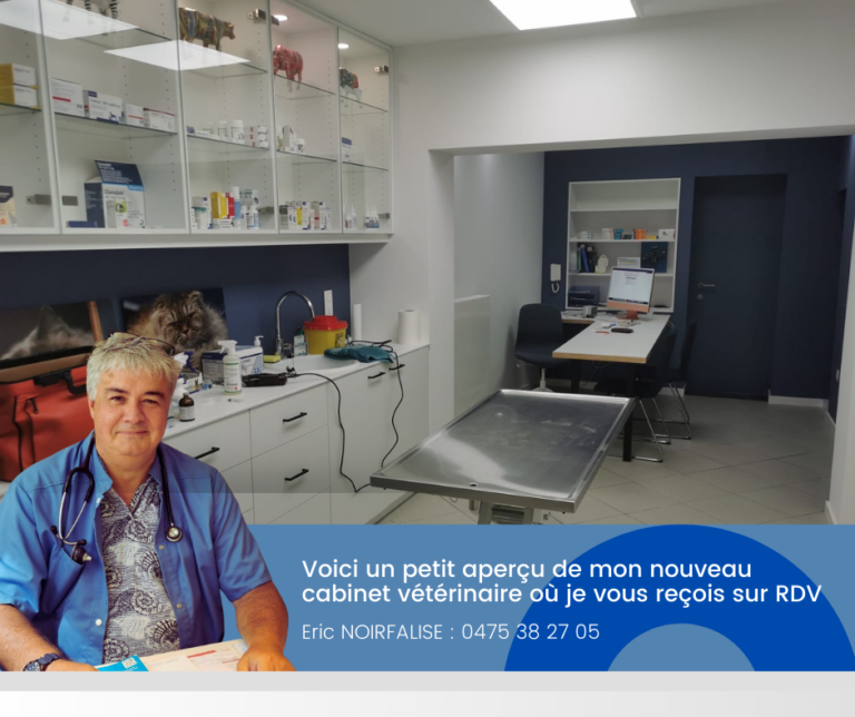 Afin de vous familiariser avec le nouvel environnement, voici un petit